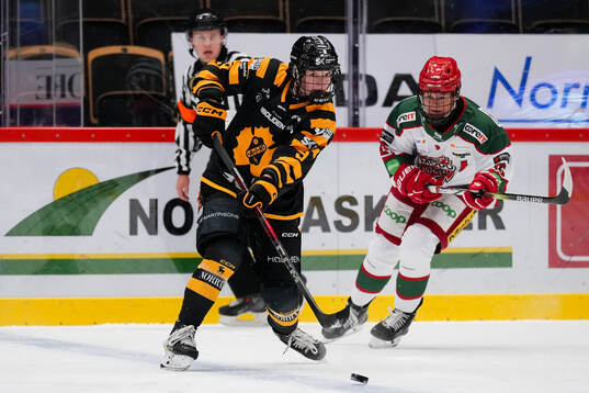Skellefteås Pernilla Forsgren och Modos Brooke Mcquigge