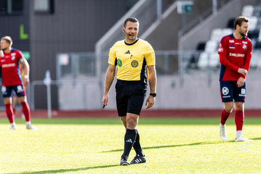 Domare Jovan Krsmanovic