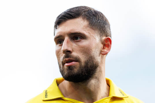 Elfsborgs Arber Zeneli