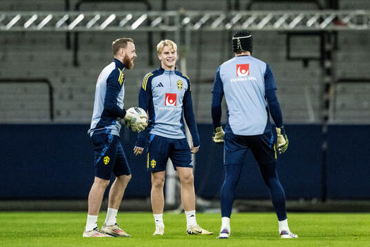 Goalkeeper Viktor Johansson and Lucas Bergvall of the