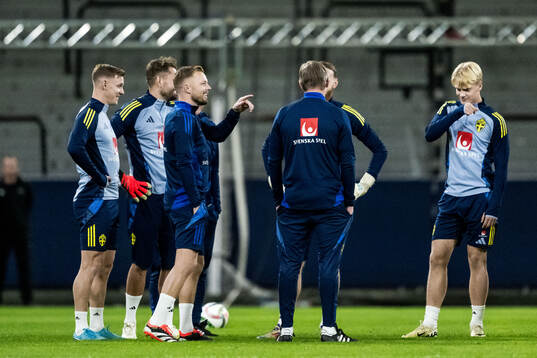 Assistant coach Sebastian Larsson of the Swedish men's