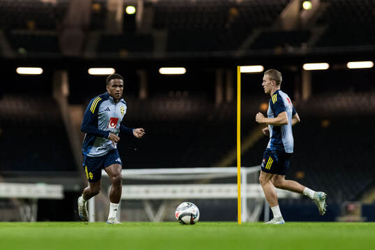 Niclas Eliasson and Ludwig Augustinsson of the Swedish