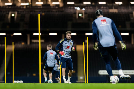 Goalkeeper Kristoffer Nordfeldt of the Swedish men's