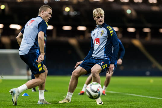 Ludwig Augustinsson and Lucas Bergvall of the Swedish men's