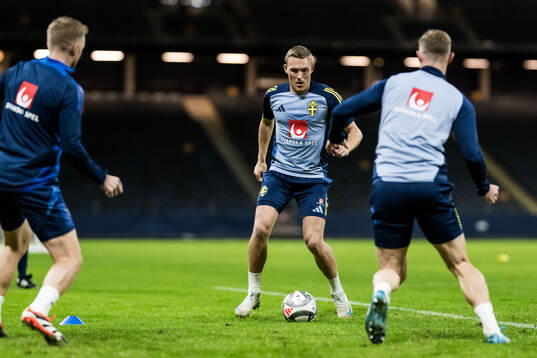 Ludwig Augustinsson of the Swedish men's football national