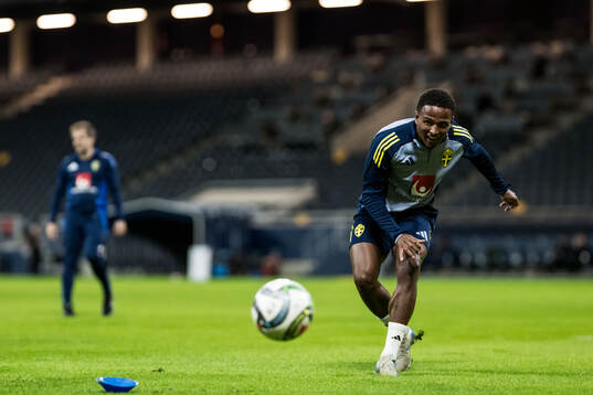 Niclas Eliasson of the Swedish men's football national team