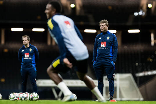 Head coach Jon Dahl Tomasson of the Swedish men's football