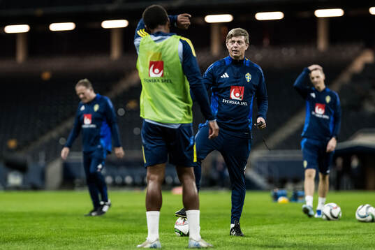 Head coach Jon Dahl Tomasson of the Swedish men's football