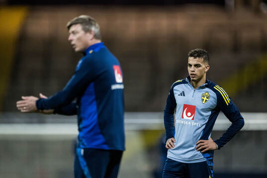 Head coach Jon Dahl Tomasson and Yasin Ayari of the Swedish