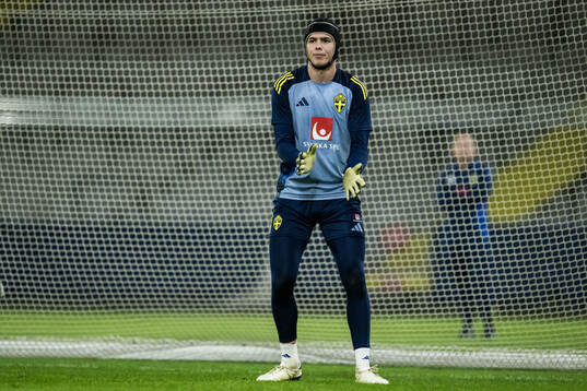 Goalkeeper Jacob Widell Zetterström of the Swedish men's