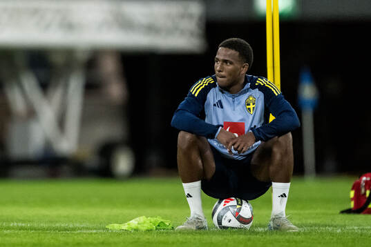 Niclas Eliasson of the Swedish men's football national team