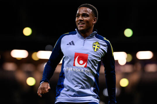 Niclas Eliasson of the Swedish men's football national team