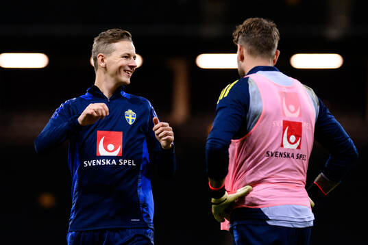 goalkeeper coach Maths Elfvendal of the Swedish men's