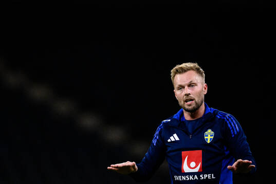 assistant coach Sebastian Larsson of the Swedish men's