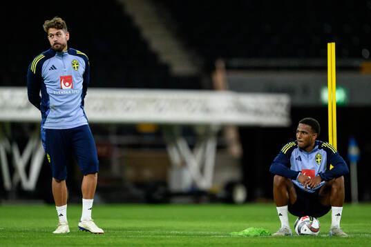 goalkeeper Kristoffer Nordfeldt and Niclas Eliasson of the