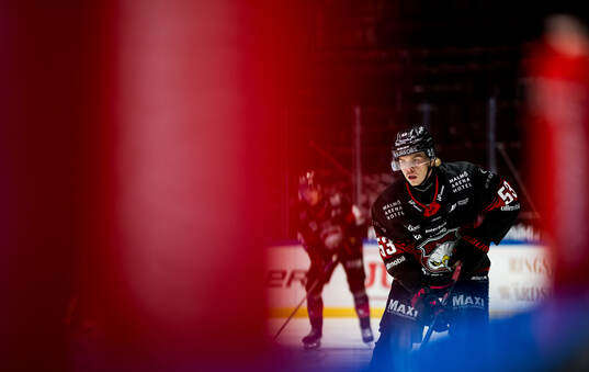 Malmö Redhawks Albert Sjöberg