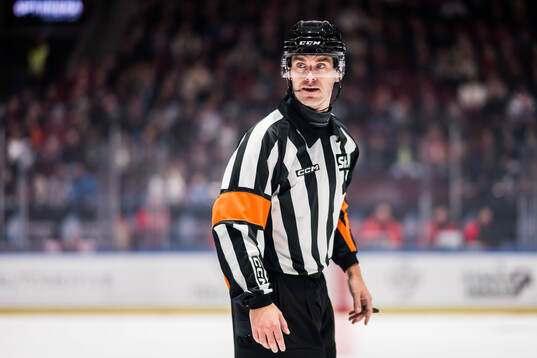 Domare Richard Magnusson