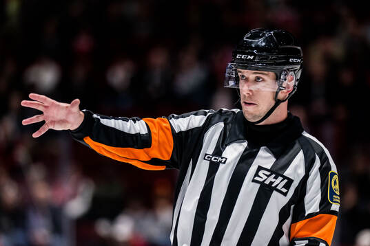 Domare Oscar Niklasson
