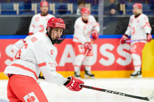 Radim Mrtka of Ocelari Trinec ahead the CHL game between
