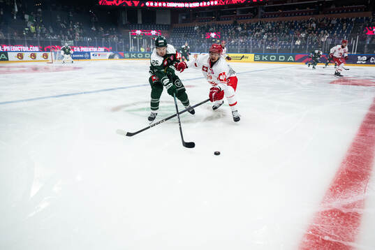 Joel Nyström of Färjestad and Libor Hudacek of Ocelari