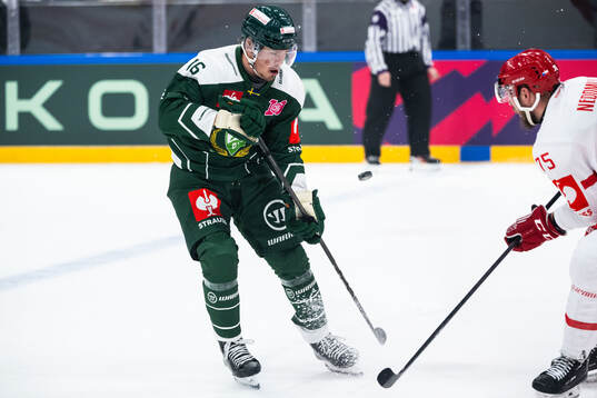 Alexander Ljungkrantz of Färjestad and Richard Nedomlel of