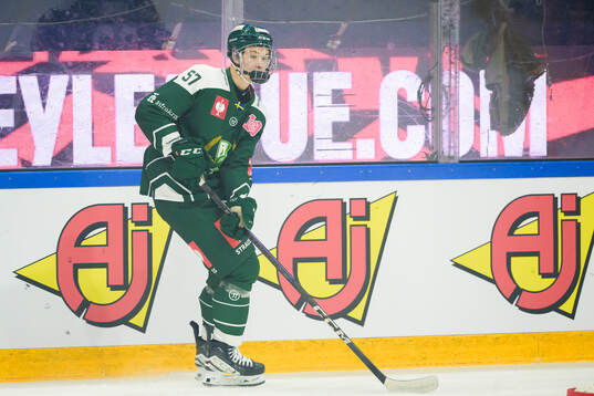 Malte Vass of Färjestad
