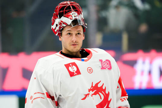 goaltender Marek Mazanec of Ocelari Trinec