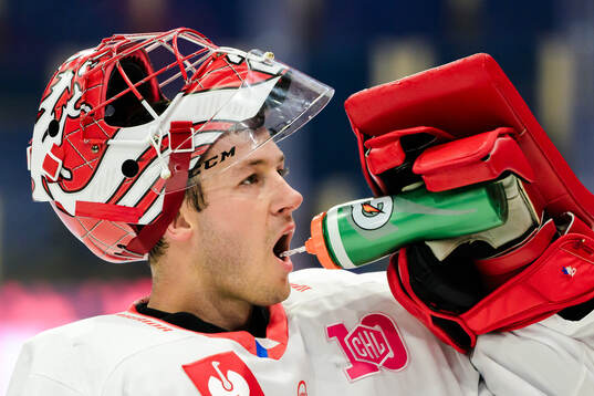 goaltender Marek Mazanec of Ocelari Trinec