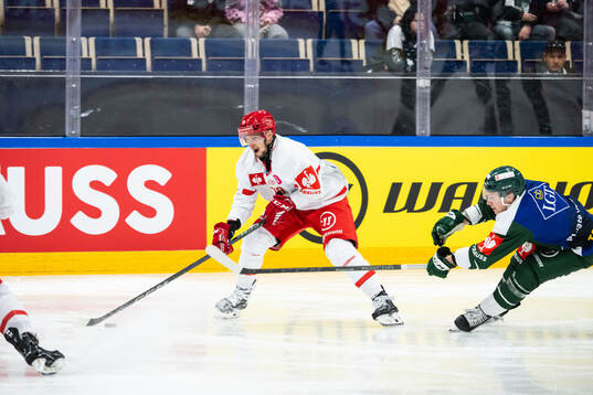Libor Hudacek of Ocelari Trinec and Oscar Steen of
