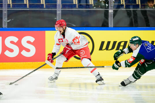 Libor Hudacek of Ocelari Trinec and Oscar Steen of