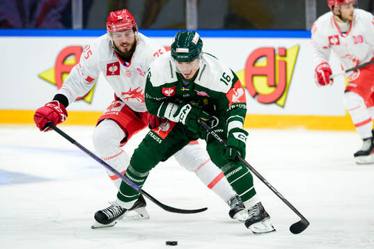 Richard Nedomlel of Ocelari Trinec and Alexander