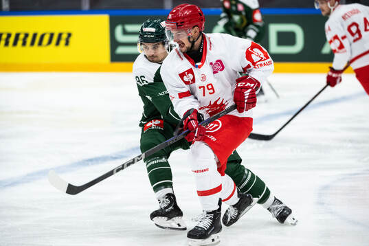 David Tomasek of Färjestad and Libor Hudacek of Ocelari