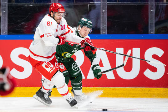 David Cienciala of Ocelari Trinec and Oscar Steen of