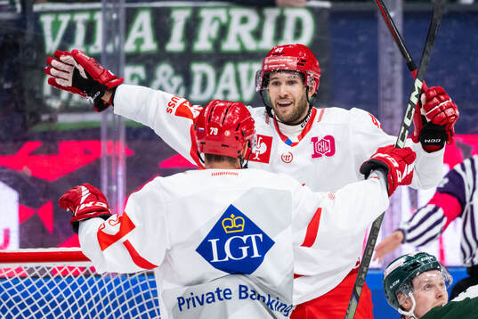 Daniel Kurovsky of Ocelari Trinec celebrates