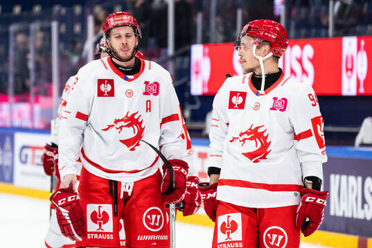 Martin Marincin and Andrej Nestrasil of Ocelari Trinec look