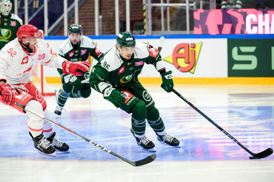 Martin Marincin of Ocelari Trinec and David Tomasek of