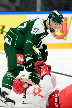 Malte Vass of Färjestad  and Petr Sikora of Ocelari Trinec