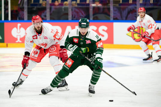 Richard Nedomlel of Ocelari Trinec and Alexander