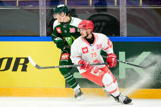 Alexander Ljungkrantz of Färjestad  and Libor Hudacek of