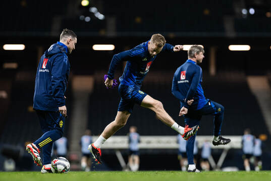 Assistant coach Sebastian Larsson of the Swedish men’s