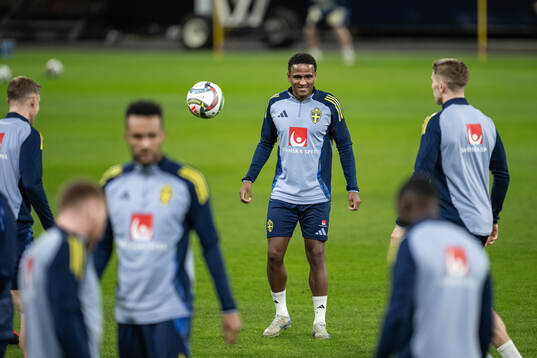 Niclas Eliasson of the Swedish men’s national football