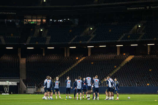 The players of the Swedish men’s national football team