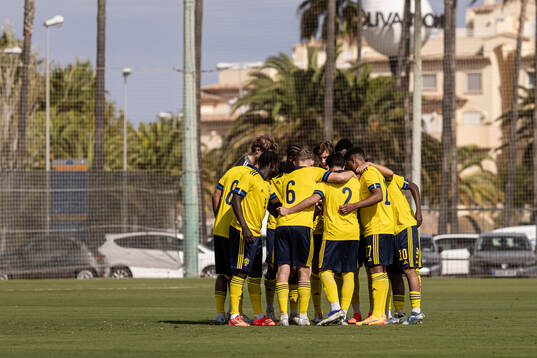 Players of Sweden gather