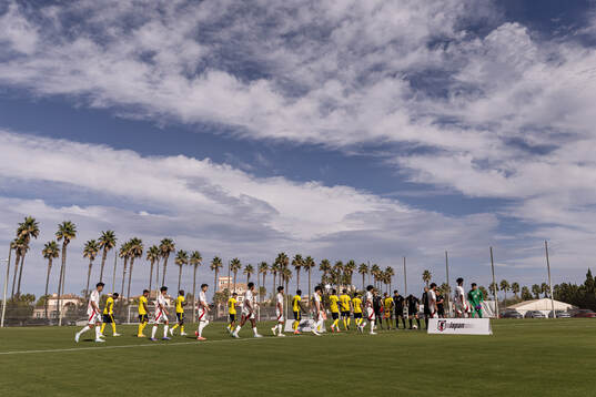 Players of Sweden enters the pitch