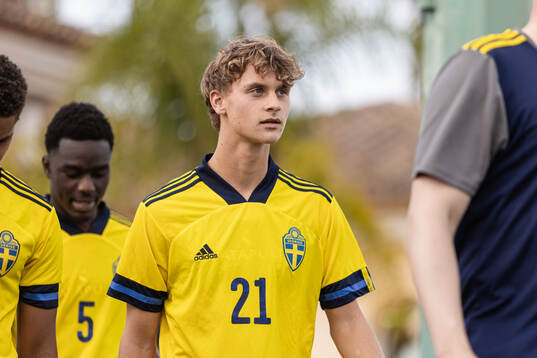 Maximilian Ibrahimovic of Sweden