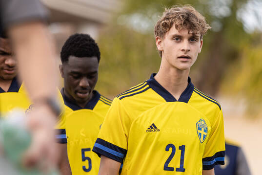 Maximilian Ibrahimovic of Sweden
