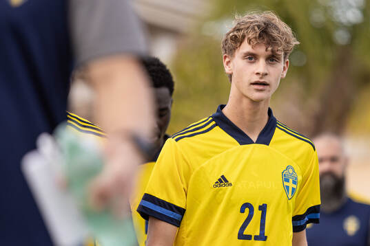 Maximilian Ibrahimovic of Sweden