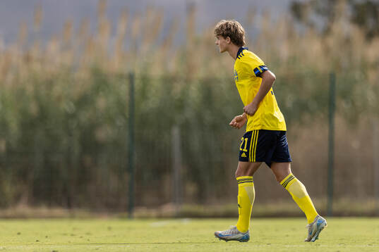 Maximilian Ibrahimovic of Sweden