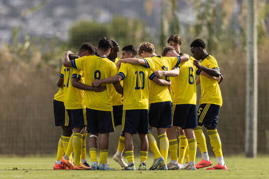 Maximilian Ibrahimovic of Sweden gather with teammates