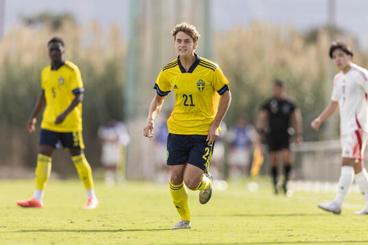 Maximilian Ibrahimovic of Sweden